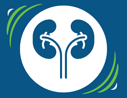 Médecine - Néphrologie