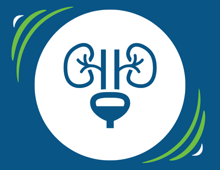 Médecine - Urologie