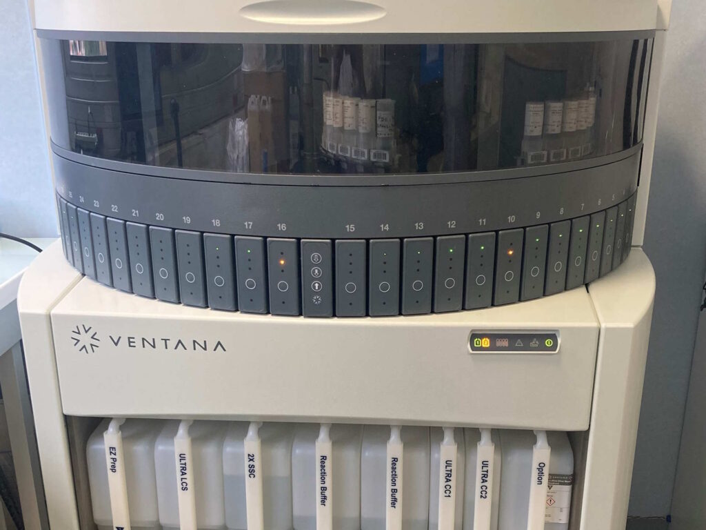 ANAPATH benchmark ANAPATH benchmark