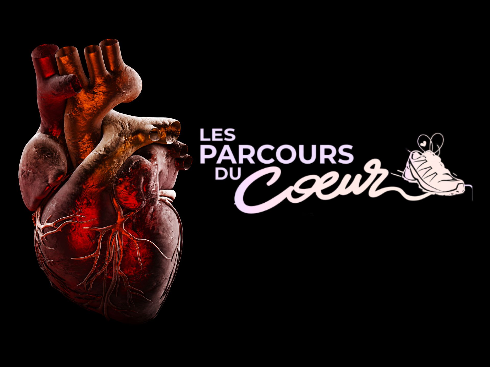coeur cardiologie cardique coronarographie (3)